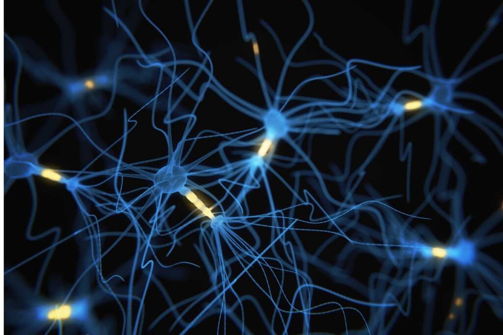 Ciekawostki o mózgu, mózg w liczbach